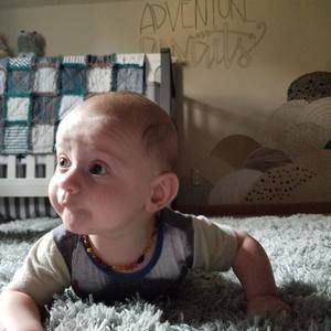 Meet your Posher, Sadie